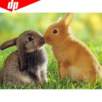 5D Алмазная картина Два кролика Полный дисплей Алмазная вышивка Полный круглый крестик Стразы 20X30CM