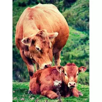 5D Алмазная картина Корова Мать Алмазная вышивка Полный дисплей Алмазная мозаика Вышивка крестом Изображение 20X30CM