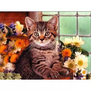 5D Алмазная картина Кошка Полный круглый Алмазная вышивка Крестом 20X30CM