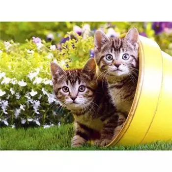 5D Алмазная картина Кошка Вышивка крестом Круглая мозаика Алмазная вышивка 20X30CM