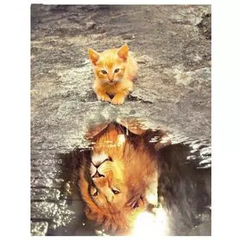 5d Алмазная картина Кот, отражающий лев, Алмазная полная дрель, круглая алмазная вышивка 20X30CM