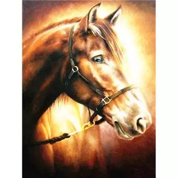 5D Алмазная картина Лошадь Алмазная вышивка Животные Картина Diy Мозаика Вышивка крестом Домашний декор 20X30CM