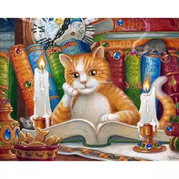 5D Алмазная картина Полный дрель Круглый DIY Алмазная вышивка Кошка Читать книгу Вышивка крестиком Полный круглый 20X30CM