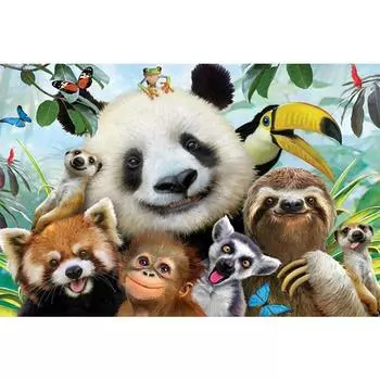 5D Алмазная картина Полный дрель Животное Мозаика Украшение дома Вышивка Панда Вышивка крестом Подарок 20X30CM