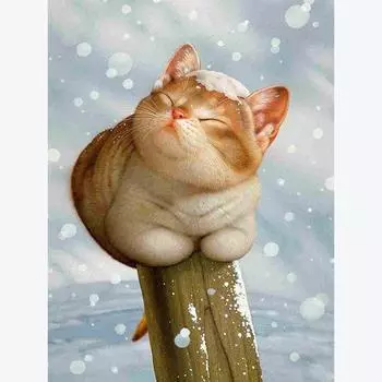 5D Алмазная картина Полный круглый мультяшный кот Crysta Animal Kit DIY Наклейка Дрель Вышивка крестом 20X30CM