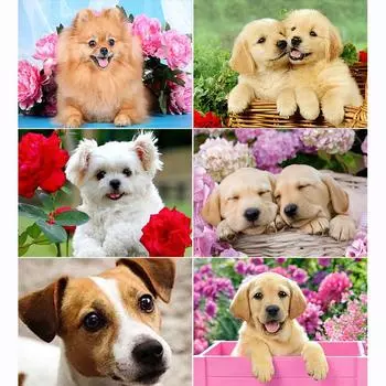 5D Алмазная картина Полный круглый «Собака Цветок Животное» Картина со стразами Diy Алмазная вышивка Домашний декор Full Round 20x30CM