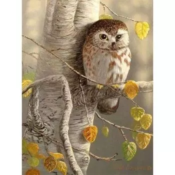5D Алмазная картина Полный круглый Сова Вышивка Алмазная мозаика Вышивка крестом 20X30CM