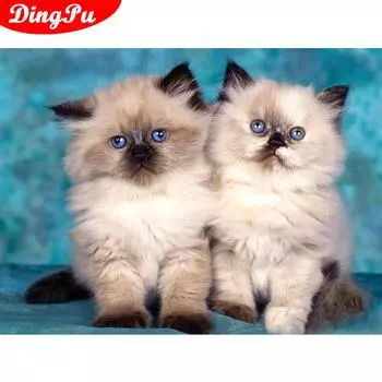 5D Алмазная картина Полный круглый животное Алмазная вышивка Кошка Прибытие Украшение дома Алмазное искусство 20X30CM