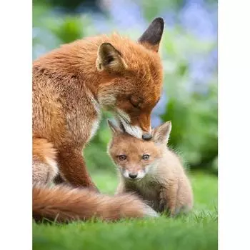 5D Алмазная картина Ремесло Домашний пейзаж Diy Алмазная Алмазная вышивка Пейзаж Подарок Стены Искусства Декор Full Round 20X30CM