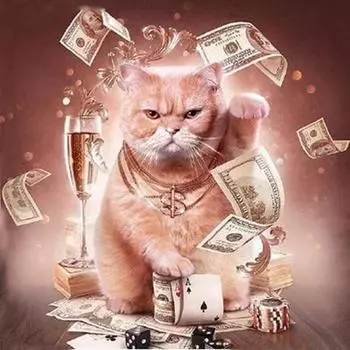 5D Алмазная картина Ремесло Кошка Доллар Стразы Вышивка Diy Алмазная вышивка Алмазная настенная живопись 20x20CM