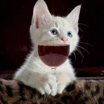 5D Алмазная картина Ремесло Кошка Доллар Стразы Вышивка Diy Алмазная вышивка Алмазная настенная живопись 20x20CM