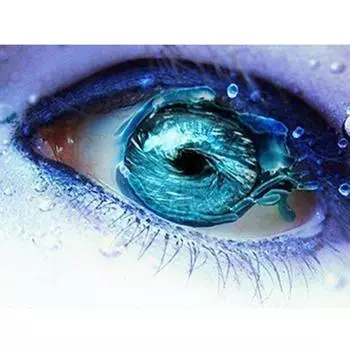 5D Алмазная картина «Сезон» Алмазная мозаика «Глаз» Набор для алмазной вышивки Декор для дома 20X30CM