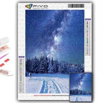 5D Алмазная картина Снежная сцена DIY Алмазная вышивка Горный хрусталь Домашнее украшение Full Round 20X30CM