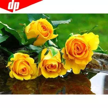 5D Алмазная картина Желтый цветок Полный круглый горный хрусталь Картина Вышивка Продажа Алмаз 20X30