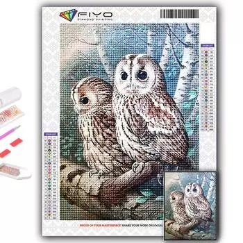 5D Алмазная картина Животное Сова DIY Алмазная вышивка Горный хрусталь Домашнее украшение Full Round 20X30CM