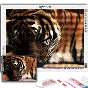 5D Алмазная картина Животное Тигр DIY Алмазная вышивка Горный хрусталь Домашнее украшение Full Round 20X30CM