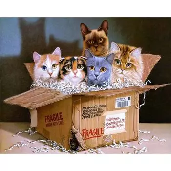 5D Алмазная картина Животные Вышивка крестиком Полный круглый дрель Картина Вышивка Ремесло Домашний декор Full Round 20x25CM