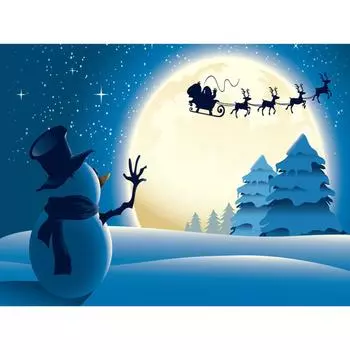 5d Алмазная картина Зима Снеговик Санта-Клаус DIY Полный квадратный/круглый дрель Алмазная вышивка Крестом Распродажа Рождественский домашний настенный художественный декор Full Round (20X30CM)