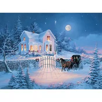 5D Алмазная картина Зимний снежный пейзаж Полный круглый Алмазная вышивка Крестом 20X30CM