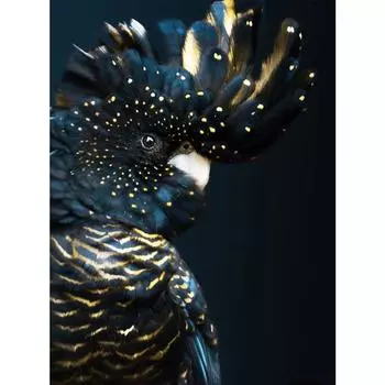 5d Алмазная картинаАлмазная вышивка Ремесло Картина Красочная мозаика Подарок Алмазный настенный художественный декор Full Round 20X30CM