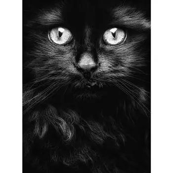 5d Алмазная вышивка Арктические ремесла Комплекты Алмазная живопись Вышивка Алмазная стена искусств Декор Full Round 20X30CM