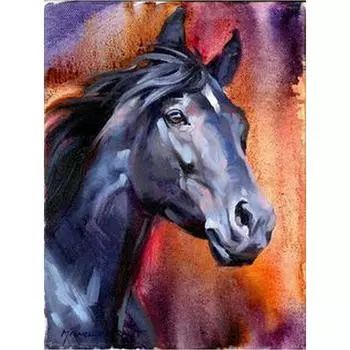 5D Алмазная вышивка Лошадь Картина Алмазная картина Вышивка крестом 20X30CM