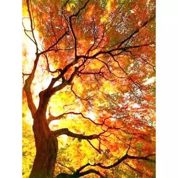 5D Алмазная вышивка Пейзаж Дерево из бисера Узор Полный круглый Алмазная картина Вышивка крестом 20X30CM