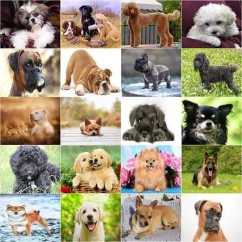 5D Алмазная вышивка Полная круглая картина с собакой Полная круглая мозаика с изображением животных Ручная работа Украшение дома Подарок Full Round 20x30CM