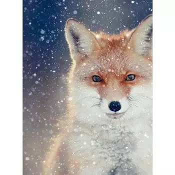 5d Алмазная вышивка Стразы Вышивка Ремесло Картина Алмазное искусство Стены Искусства Декор Full Round 20X30CM