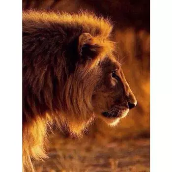 5d алмазная живопись наборы для вышивки алмазов водопад мозаика подарок вышивка ручная работа алмаз настенное искусство декор Full Round 20X30CM