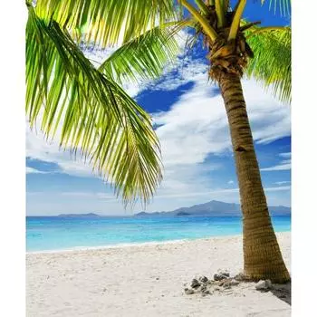 5D алмазная живопись кокосовая пальма DIY вышивка крестом песчаный пляж морской пейзаж стразы мозаика домашний декор Full Round 20x30CM