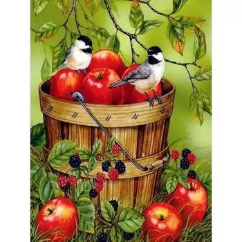 5D алмазная живопись новая птица алмазная вышивка крестом животные картины из стразов мозаика ручной работы декор Full Round 20x30CM