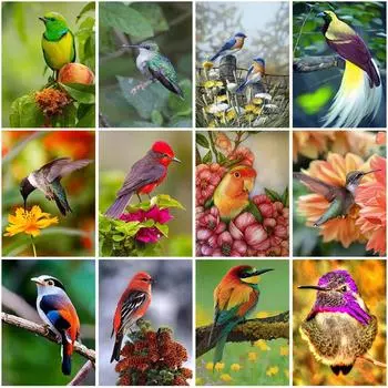 5d алмазная живопись, полная круглая дрель, сделай сам, птица, цветок, алмазная вышивка, стразы, наборы для вышивки крестом, настенное искусство, домашний декор Full Round 20x30CM