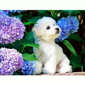 5D алмазная живопись, полная круглая картина собаки, вышивка крестиком, рукоделие, вышивка, животное, стразы, украшение, 30x40 см/12x16 дюймов 30x40cm NO Frame