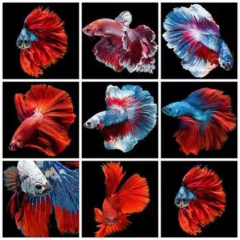 5d алмазная живопись рыба DIY Алмазная вышивка крестиком животные мозаика стразы фотографии домашний декор Full Round 30x30CM красный