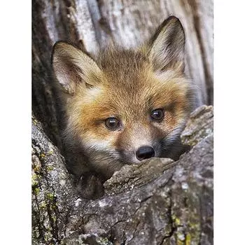 5D Алмазная картина Вышивка DIY Живопись Мозаика Алмазные настенные искусства Декор Full Round 20X30CM