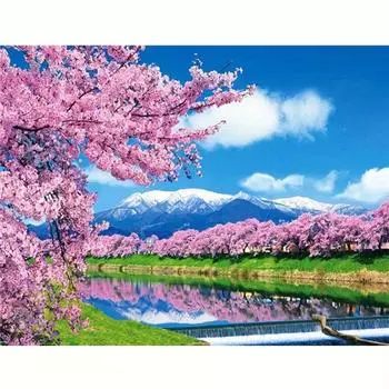 5D алмазная живопись вышивка крестиком цветок Алмазная вышивка цветок DIY мозаика полный ecoration дом 30x40 см 30x40cm NO Frame