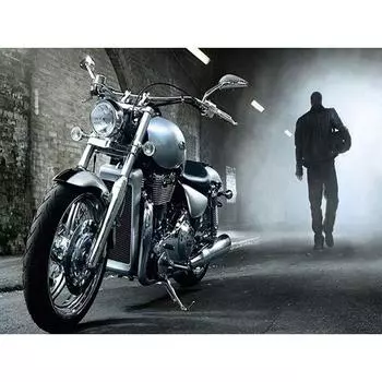 5D алмазная живопись вышивка наклейка Harley Мотоцикл вышивка крестом горный хрусталь мозаика домашний декор 20X30CM