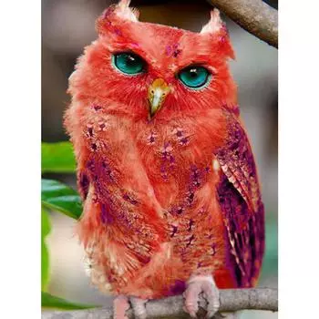 5D алмазная живопись вышивка рукоделие DIY алмазная вышивка мозаика подарок животное алмаз настенное искусство декор Full Round 20X30CM