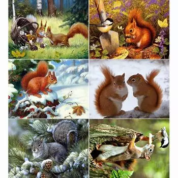 5D алмазная живопись Животные Белка Алмазная вышивка полная квадратная Алмазная мозаика вышивка крестиком пейзаж домашний декор Full Round 20x30CM