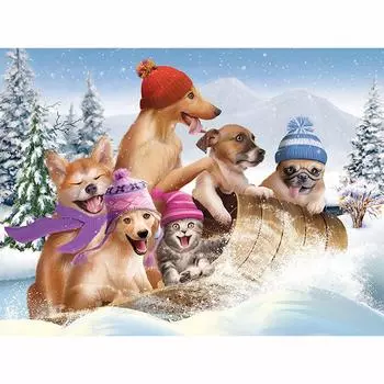 5D алмазная живопись животные катание на коньках собаки Алмазная вышивка крестиком полная круглая алмазная мозаика 20X30CM