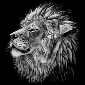 5D алмазная живопись животные вышивка крестом черный, белый цвет горный хрусталь фотографии мозаика полный макет DIY рукоделие домашний декор Full Round 20x20CM