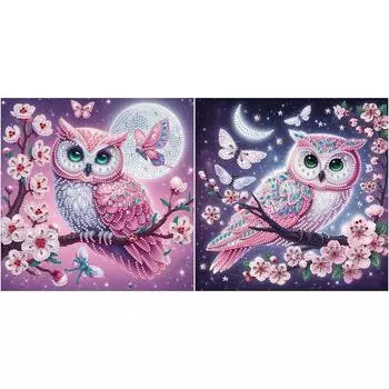 - 5D-Diamant-Malerei-Set zum Selbermachen teilweise speziell geformt Eulen-Dekor WQ353