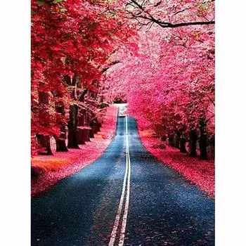 5D DIY Алмазная картина Алмазная вышивка Красивый путь Полный дисплей Круглая картина Стразы Декор Подарок 20X30CM