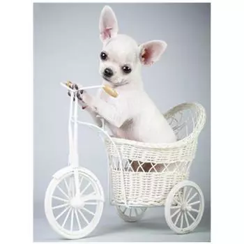 5D Diy Алмазная картина Автомобиль и собака Вышивка Крестом Домашний декор Ручной подарок Подарок 20X25CM