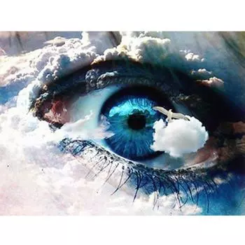 5D Diy Алмазная картина Бабочка и глаз Алмазная картина Круглые украшения со стразами 20X30CM