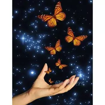 5D DIY Алмазная картина Бабочка на ладони Набор для вышивки крестом Мозаика Алмазная вышивка Роза Полный круглый/квадратный дрель Украшение дома Round 20x30cm