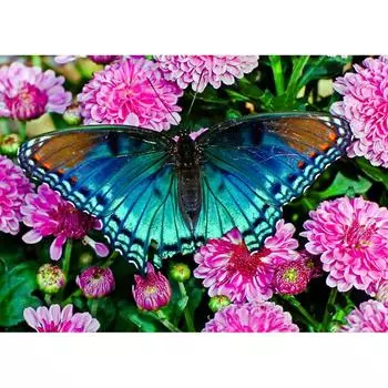 5D DIY Алмазная картина Бабочки и цветы Вышивка крестом Стразы Мозаика Украшения 20X30CM