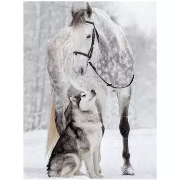 5D Diy Алмазная картина Белая лошадь и волк Вышивка Домашний декор Подарок ручной работы 20X25CM