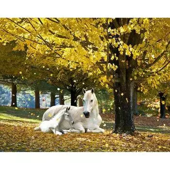5D DIY Алмазная картина Белая лошадь Вышивка Мозаика Вышивка крестом Горный хрусталь Украшение 20X30CM